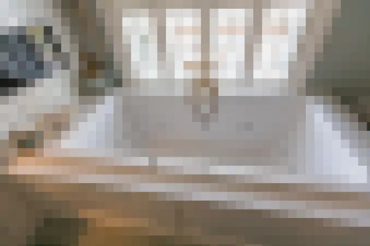 Dalweg 4 De Steeg thumbnail 51