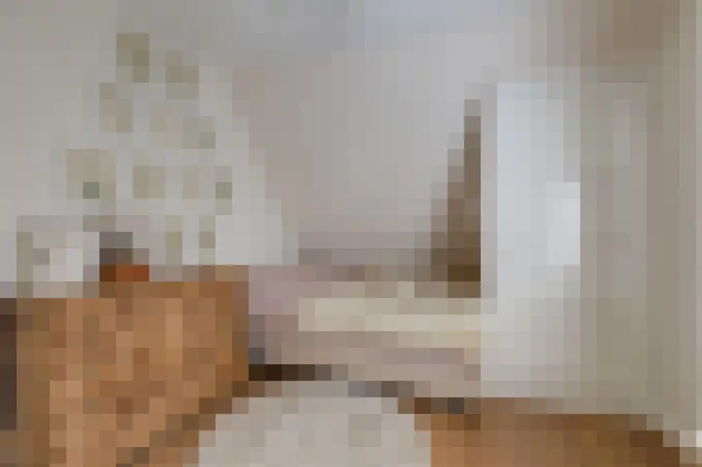 Dalweg 4 De Steeg thumbnail 53