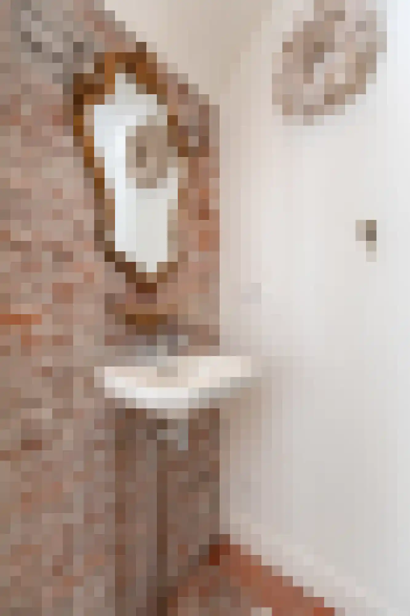 Dalweg 4 De Steeg thumbnail 54
