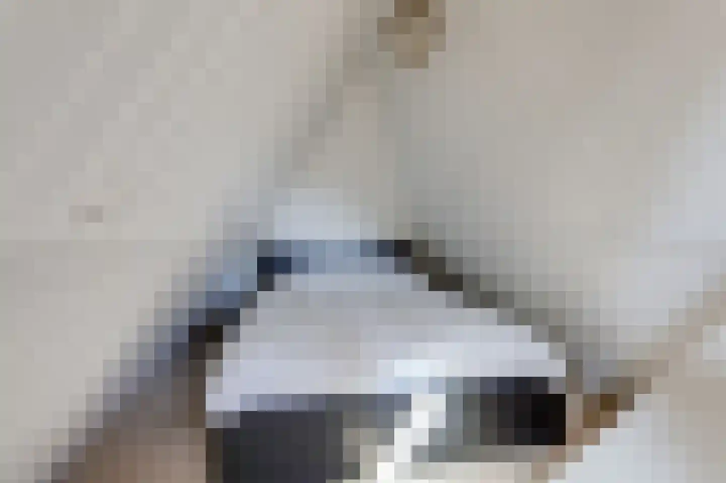 Dalweg 4 De Steeg thumbnail 57