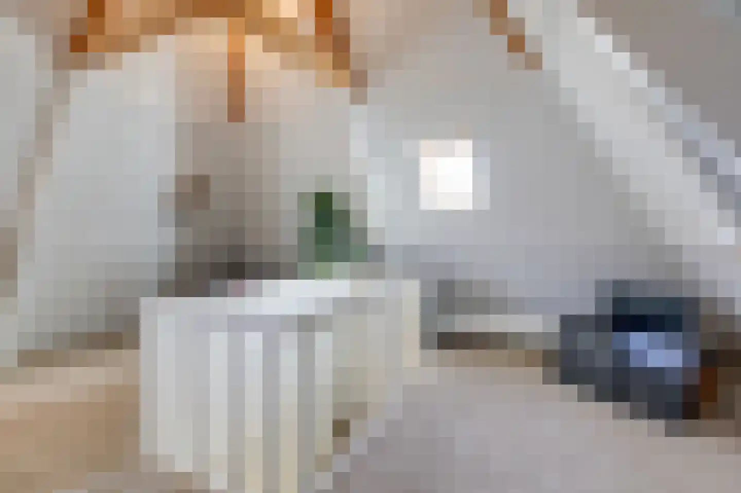 Dalweg 4 De Steeg thumbnail 58