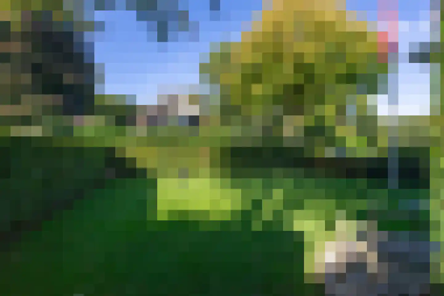 Dalweg 4 De Steeg thumbnail 62