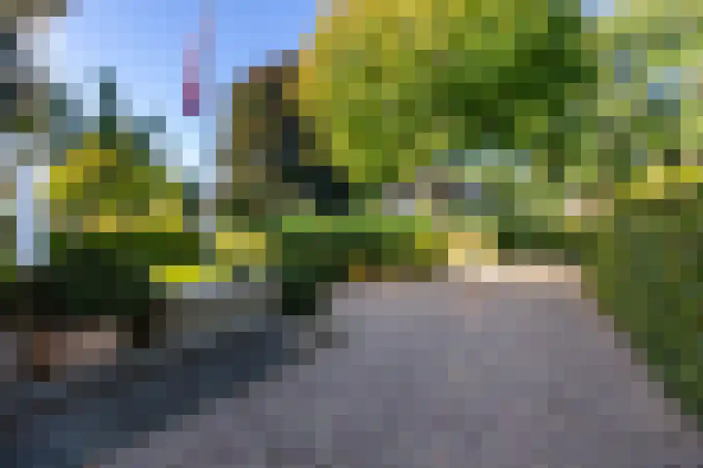 Dalweg 4 De Steeg thumbnail 63