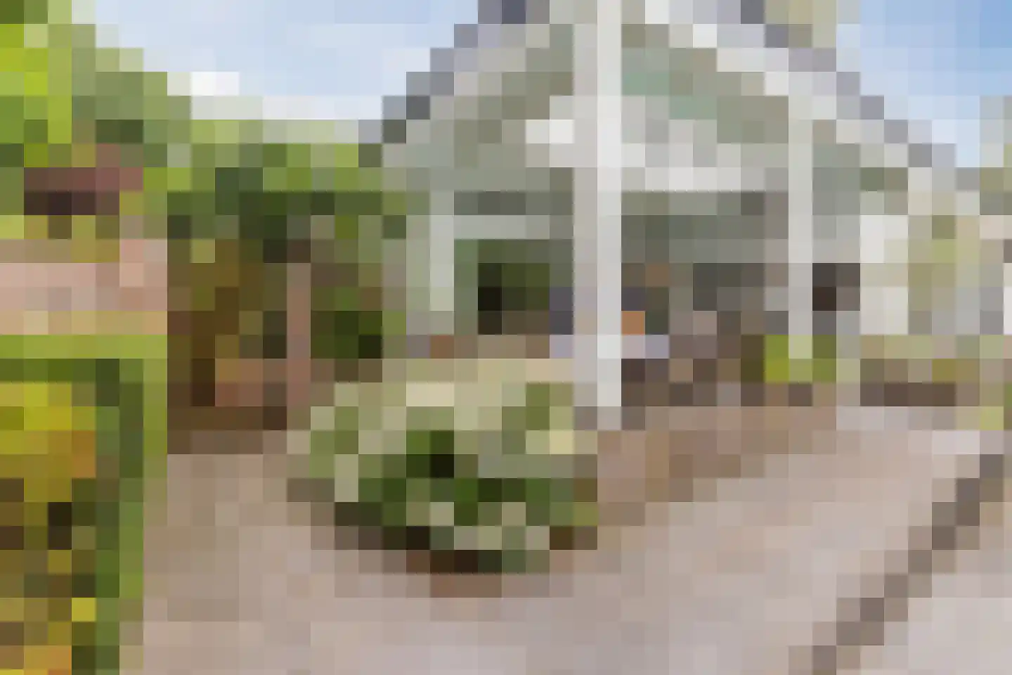 Dalweg 4 Soest thumbnail 14