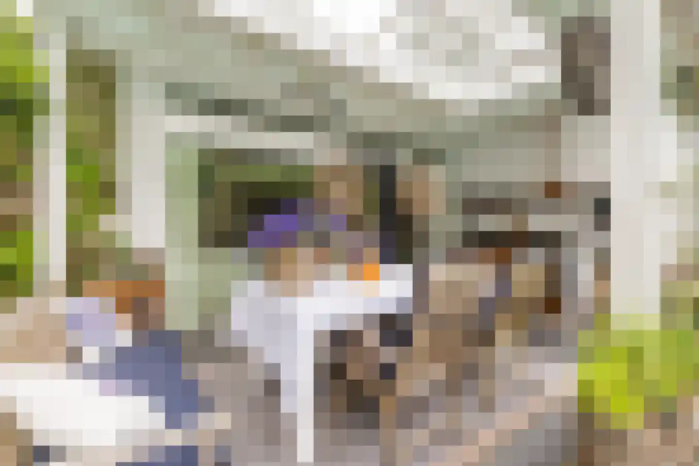 Dalweg 4 Soest thumbnail 4