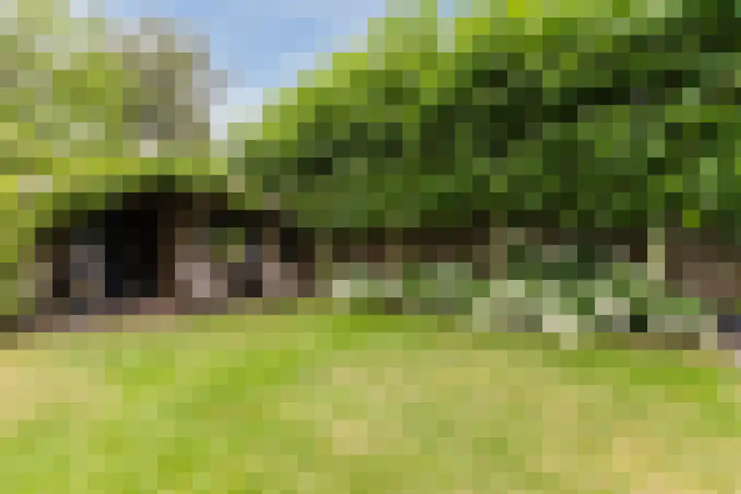 Dalweg 4 Soest thumbnail 43
