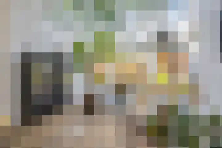 Dalweg 5 Hilversum thumbnail 11