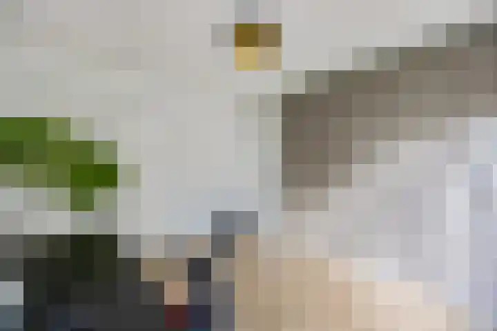 Dalweg 5 Hilversum thumbnail 37