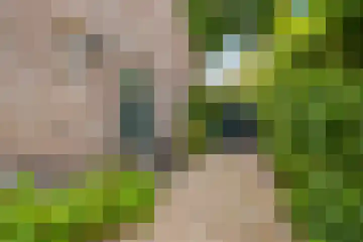 Dalweg 5 Hilversum thumbnail 4