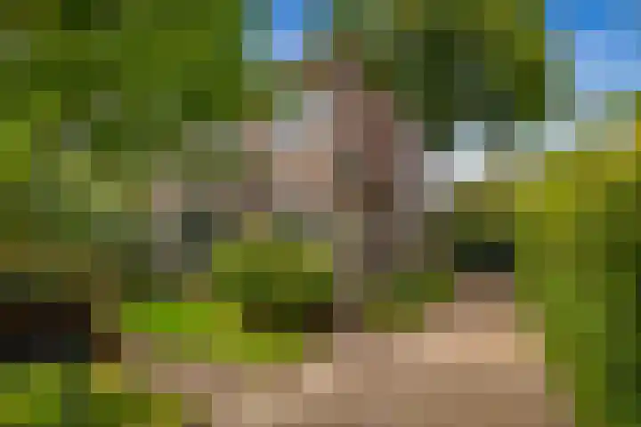 Dalweg 5 Hilversum thumbnail 62