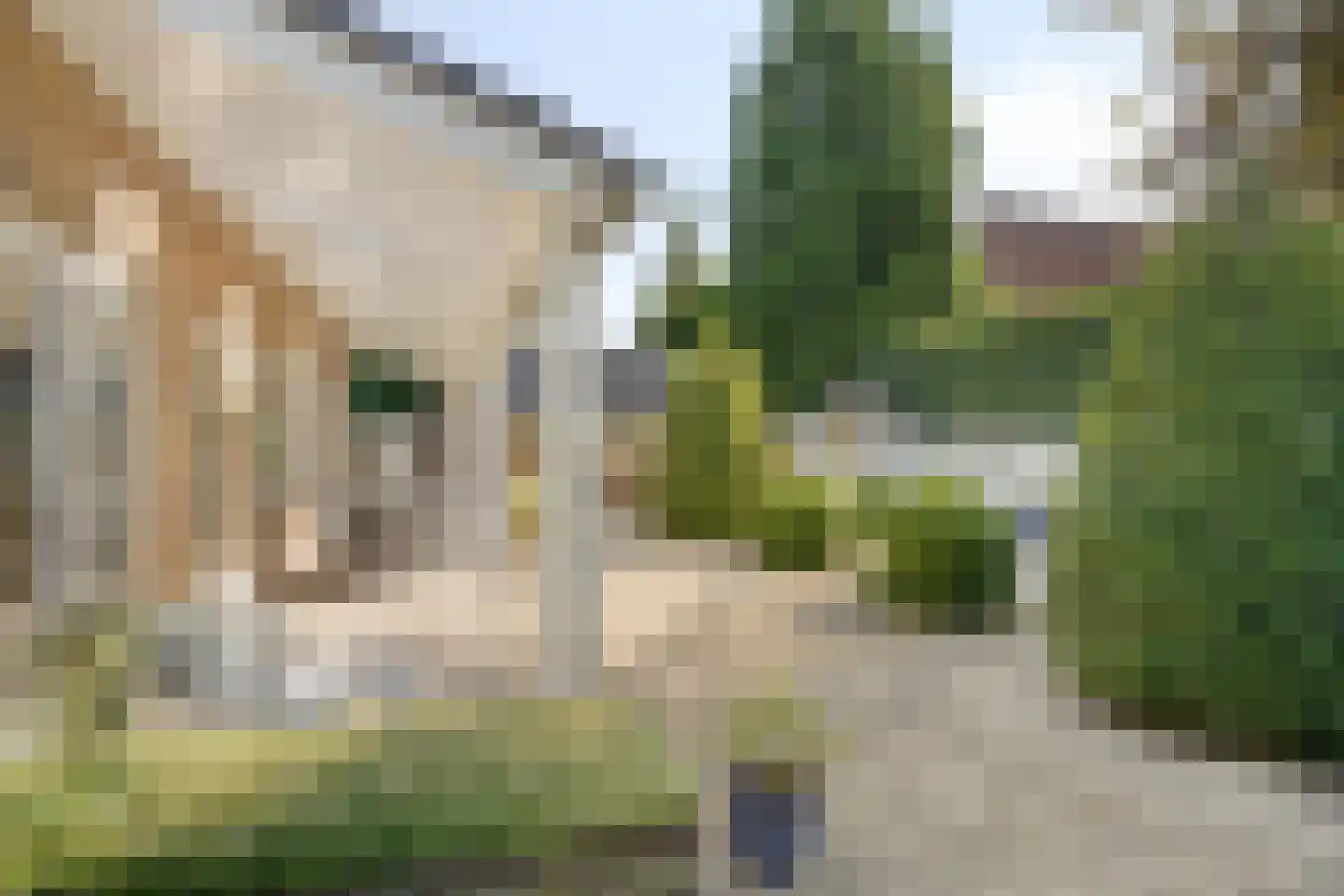 Dalweg 5 Soest thumbnail 34
