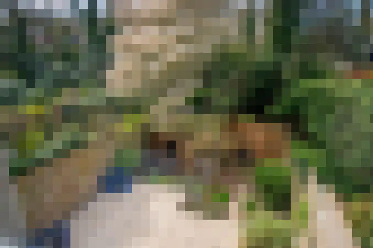 Dalweg 68 Doorwerth thumbnail 33