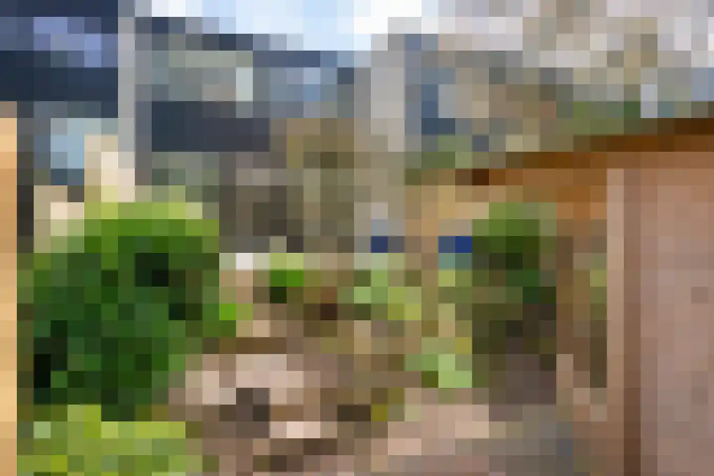 Dalweg 68 Doorwerth thumbnail 53