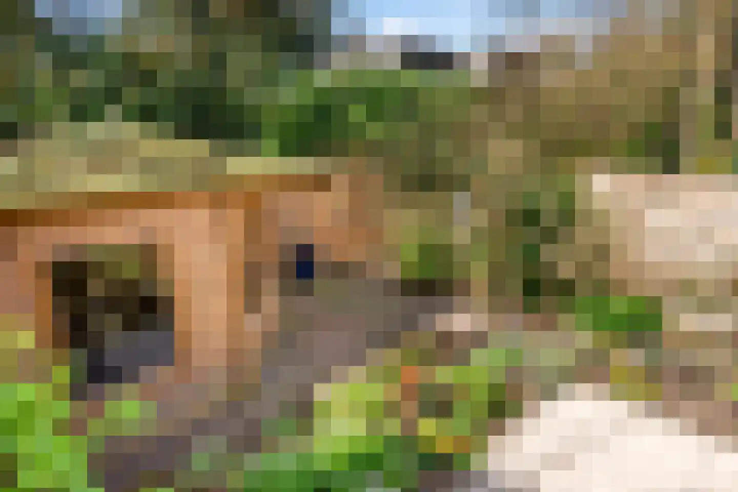 Dalweg 68 Doorwerth thumbnail 60