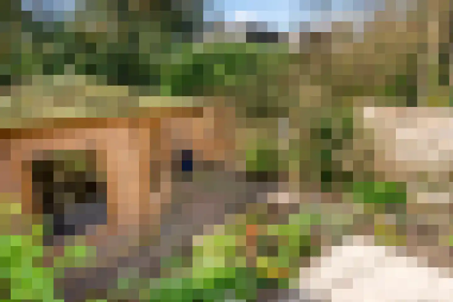 Dalweg 68 Doorwerth thumbnail 62