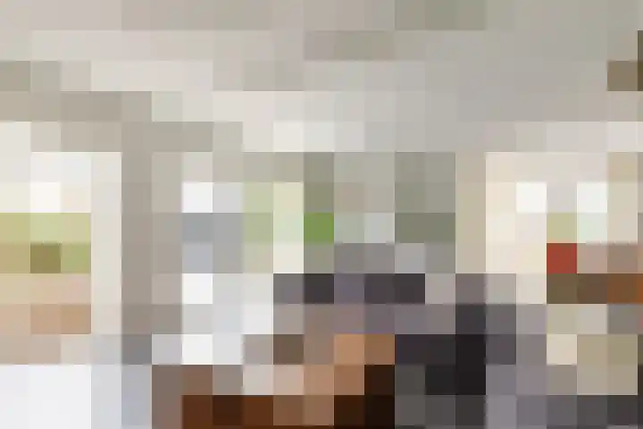 Dam 1 a Strijen thumbnail 10