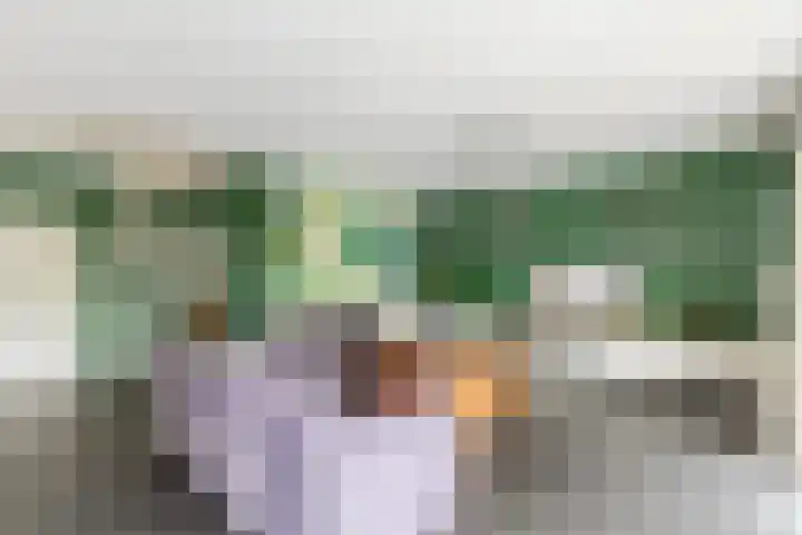 Dam 1 a Strijen thumbnail 12