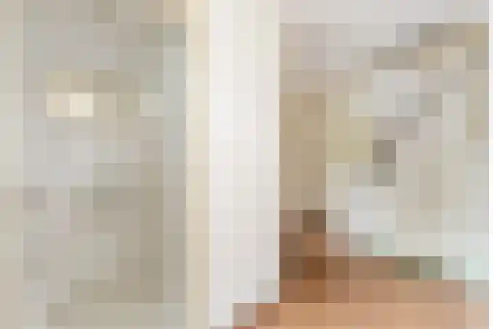 Dam 1 a Strijen thumbnail 17