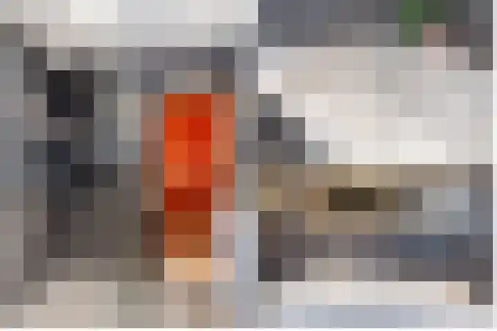 Dam 1 a Strijen thumbnail 19