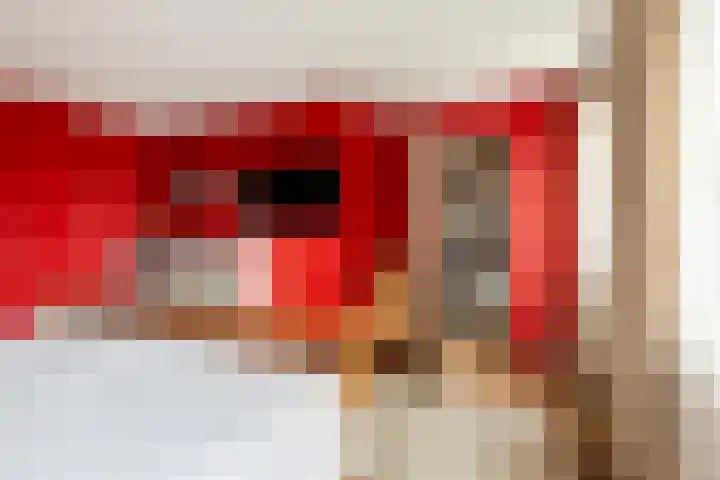 Dam 1 a Strijen thumbnail 24
