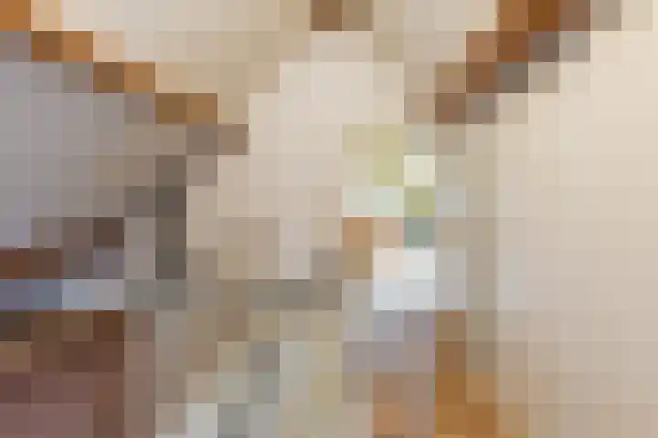 Dam 1 a Strijen thumbnail 28