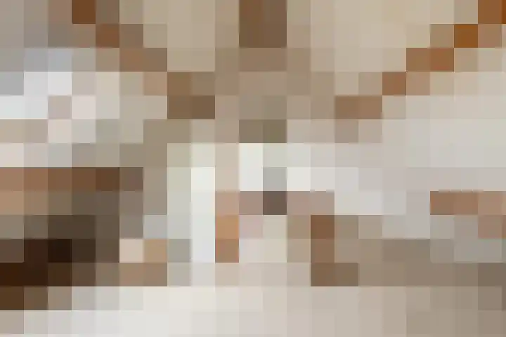 Dam 1 a Strijen thumbnail 29