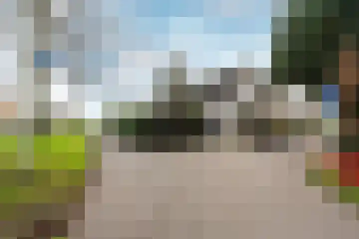 Dam 1 a Strijen thumbnail 31