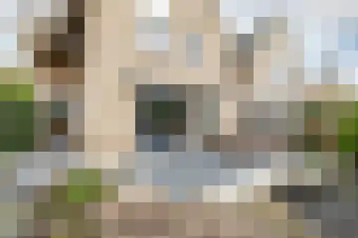 Dam 1 a Strijen thumbnail 35