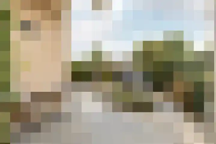 Dam 1 a Strijen thumbnail 36