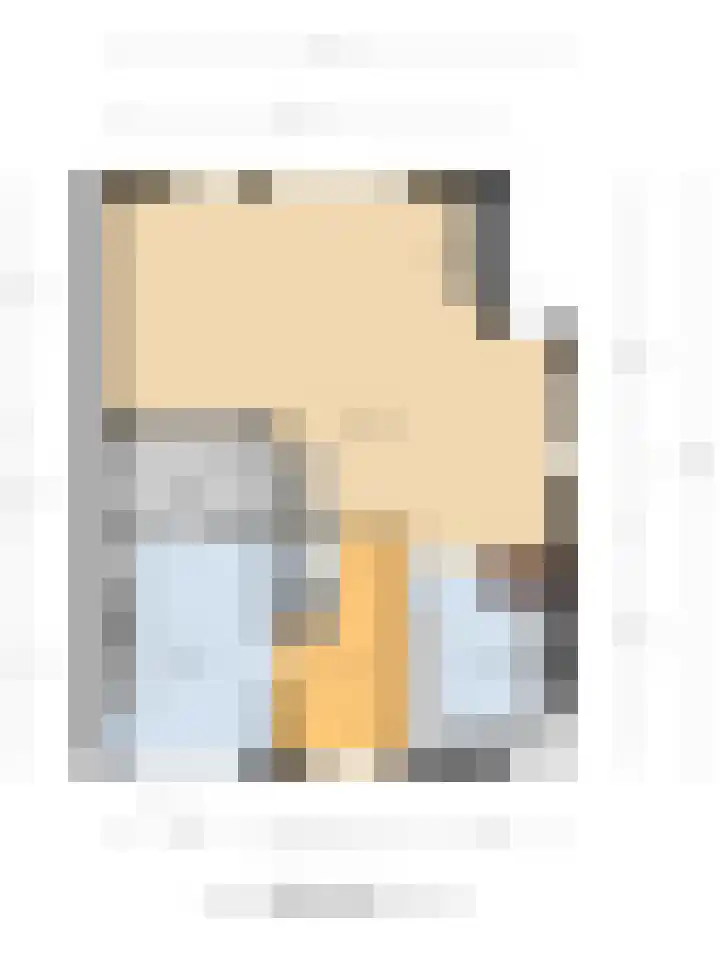 Dam 1 a Strijen thumbnail 39