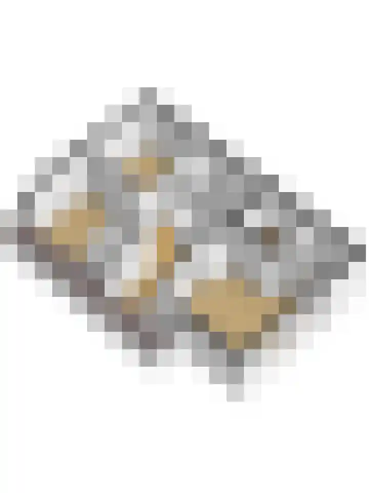 Dam 1 a Strijen thumbnail 44