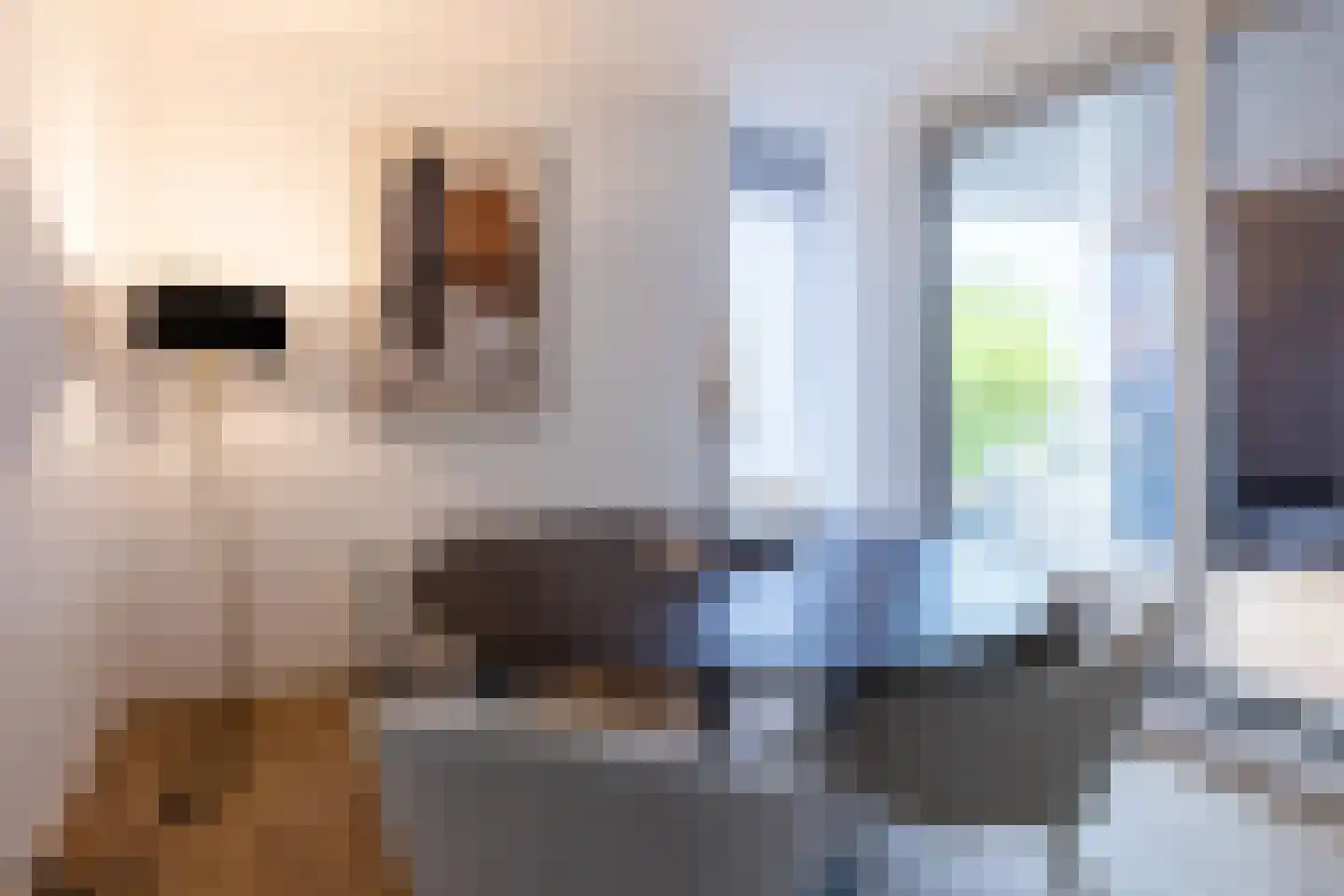 Dam 1 B 01 Goes thumbnail 27