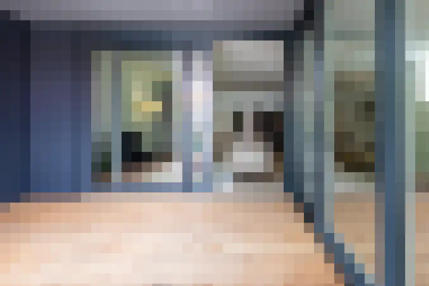 Dam 1 B 01 Goes thumbnail 38