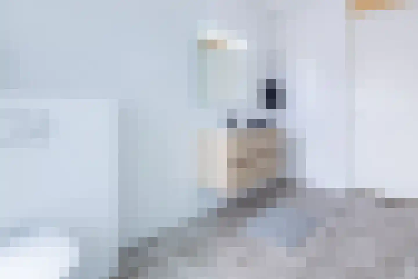 Dam 1 B 01 Goes thumbnail 52