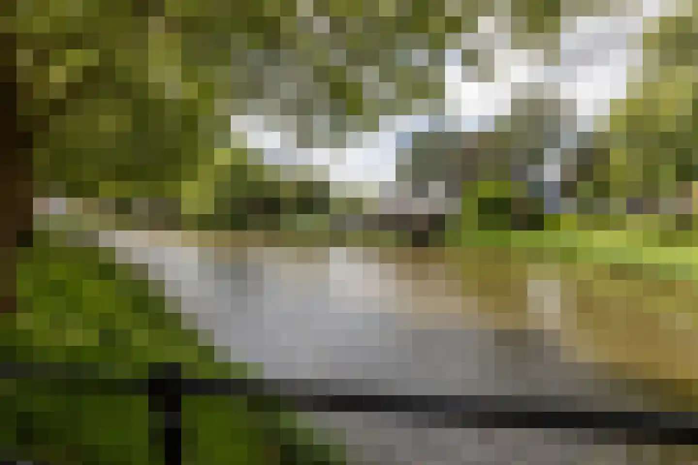 Dam 1 B 01 Goes thumbnail 69