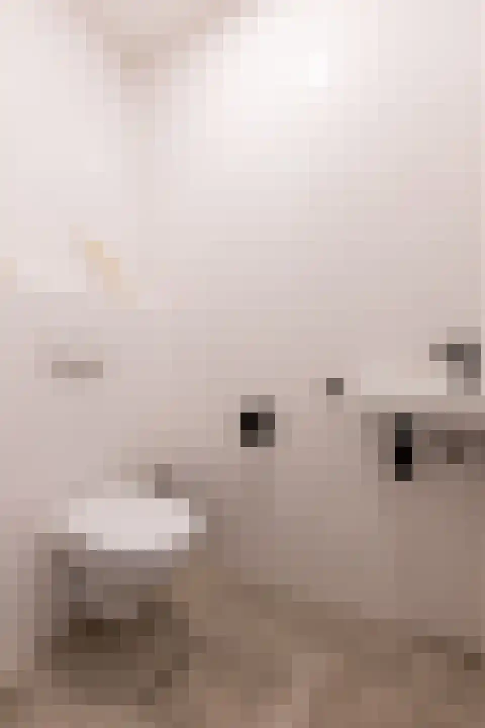 Dam 1 B 06 Goes thumbnail 17