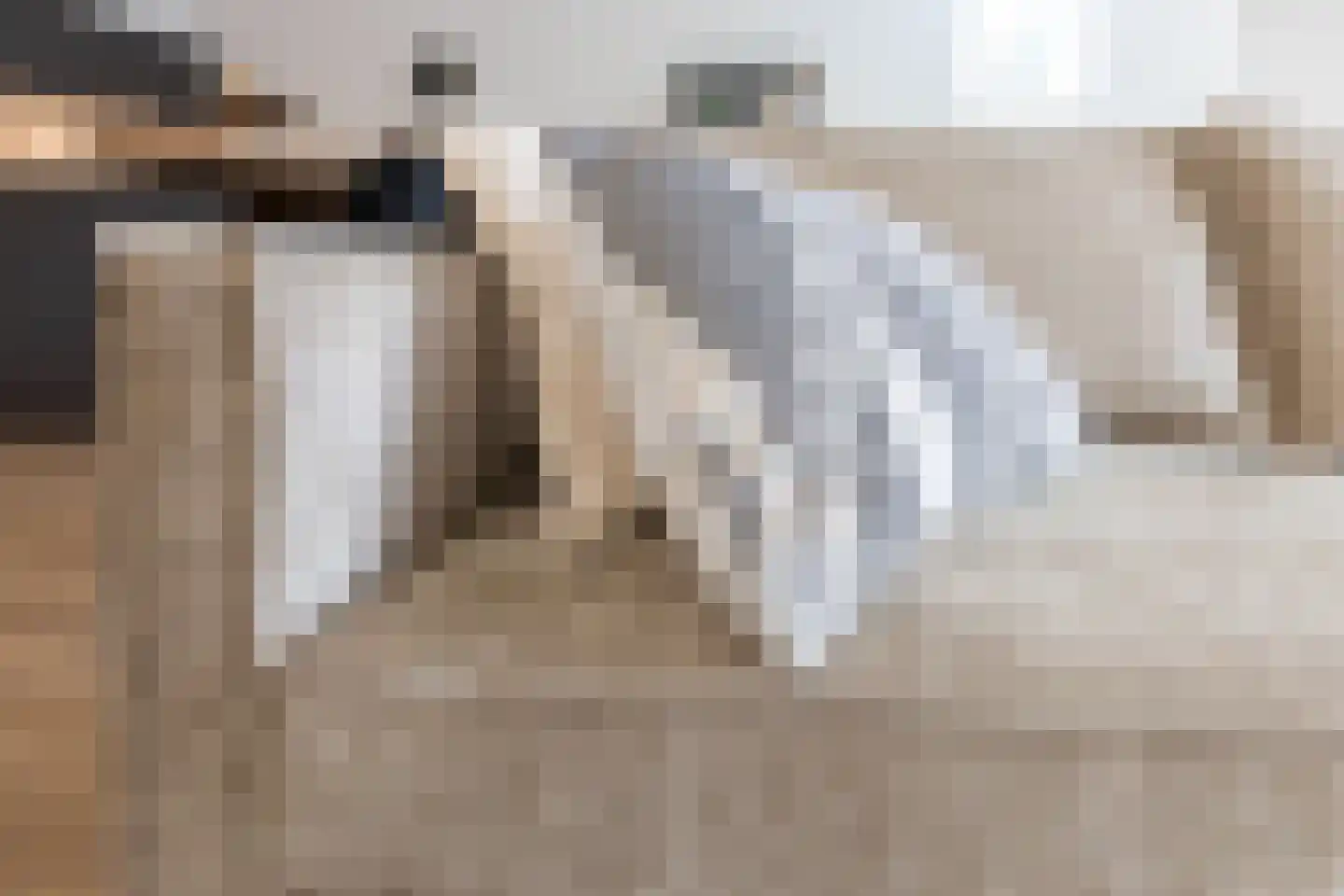 Dam 1 B 06 Goes thumbnail 26