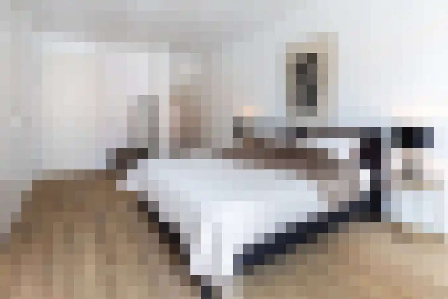 Dam 1 B 06 Goes thumbnail 44