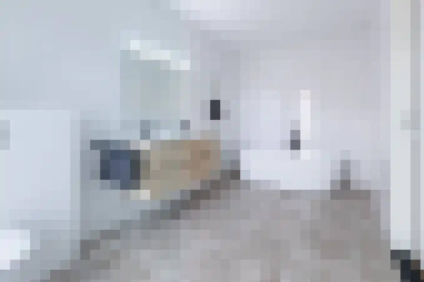 Dam 1 B 06 Goes thumbnail 45