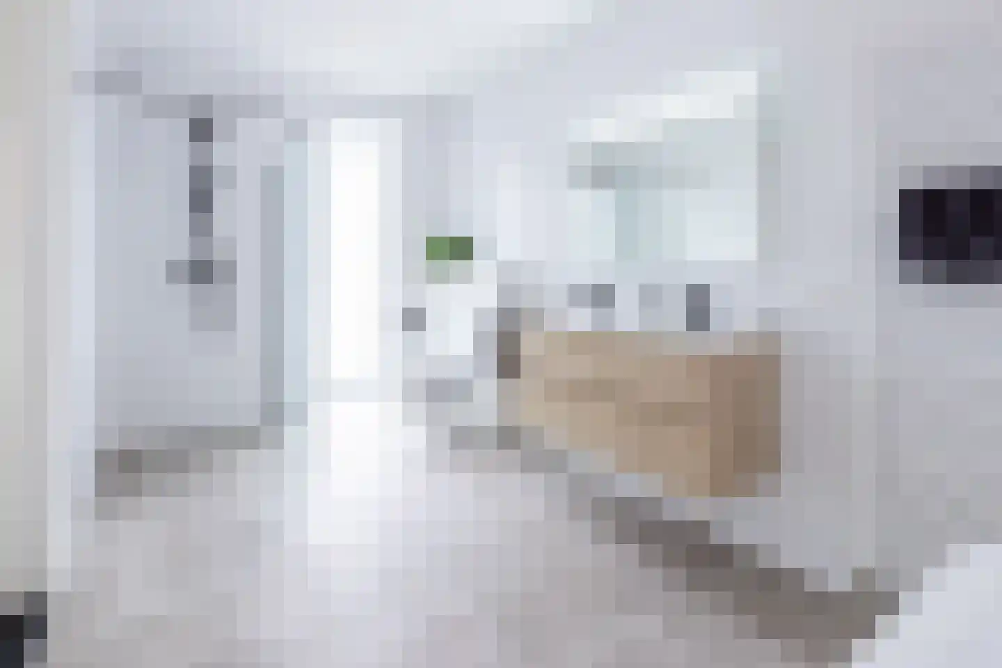 Dam 1 B 06 Goes thumbnail 46