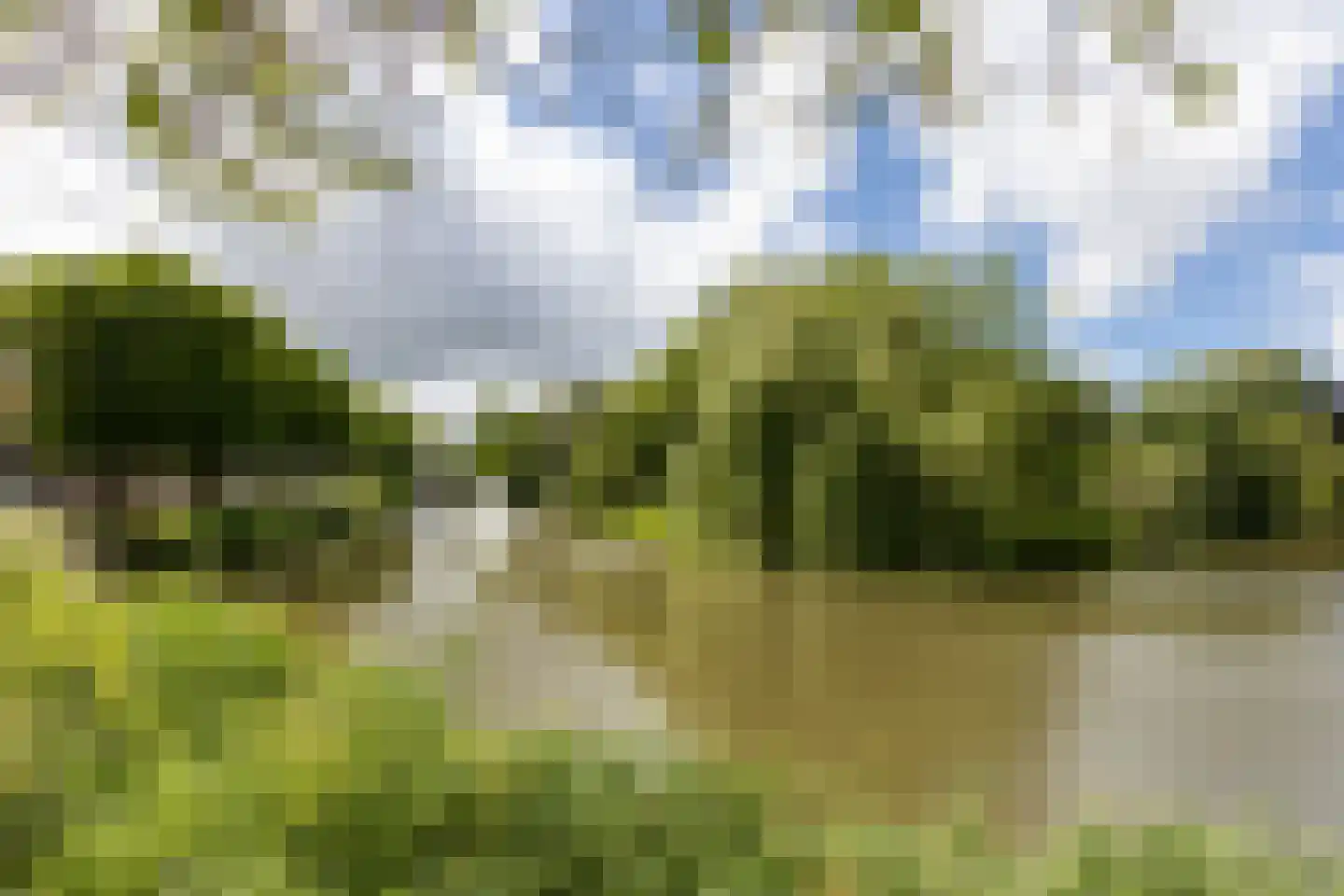 Dam 1 B 06 Goes thumbnail 71