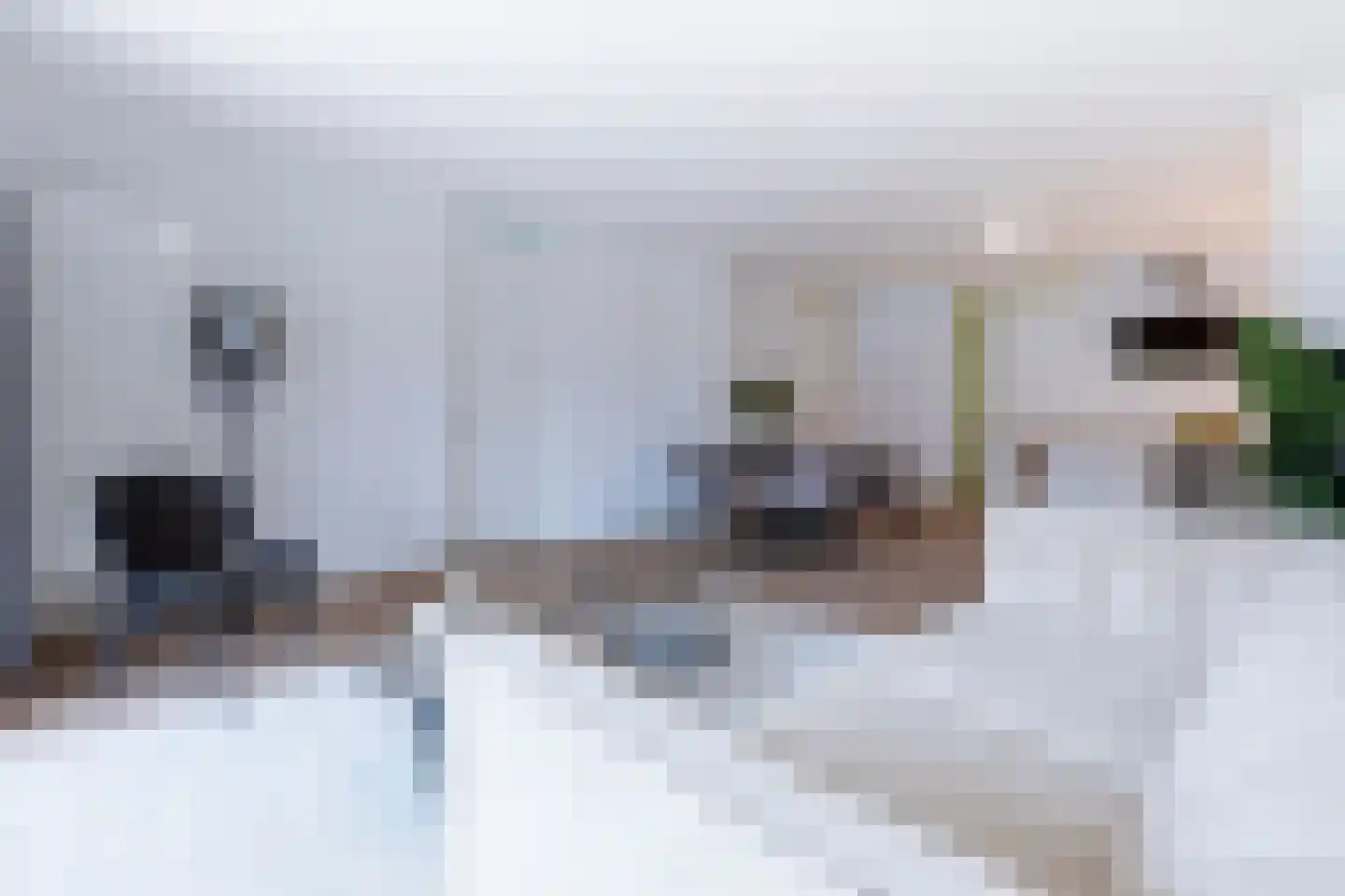 Dam 1 B 09 Goes thumbnail 10