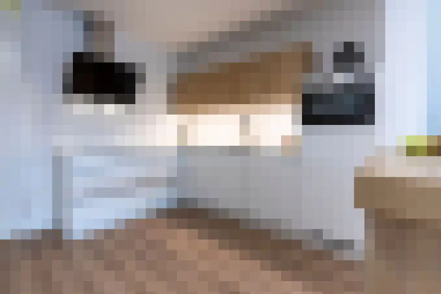 Dam 1 B 09 Goes thumbnail 14