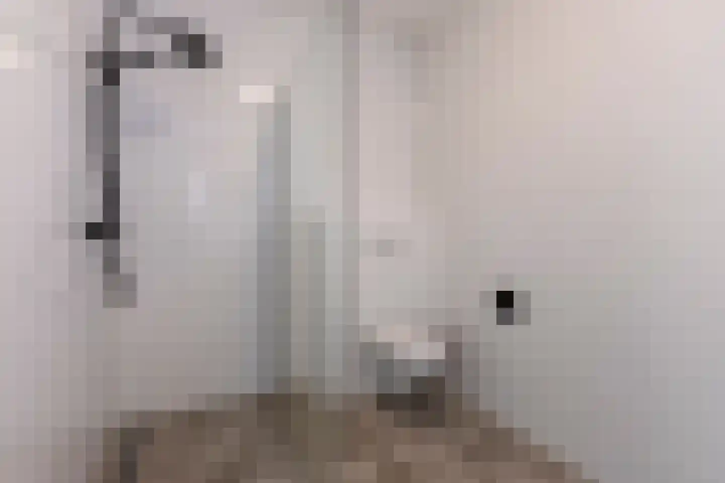 Dam 1 B 09 Goes thumbnail 21
