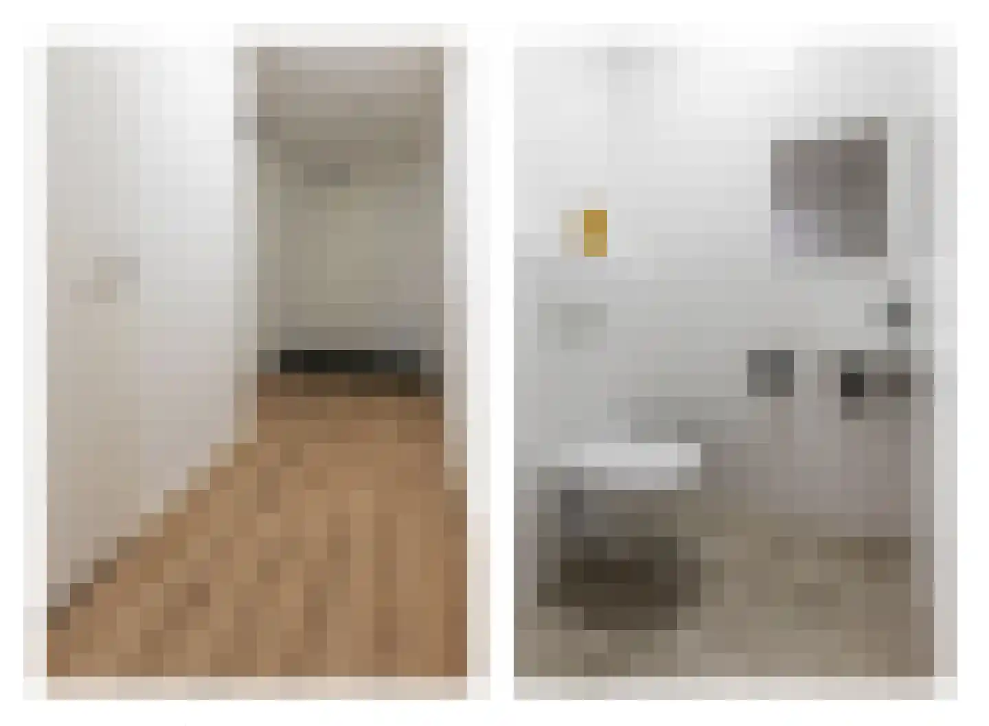 Dam 1 B 09 Goes thumbnail 26