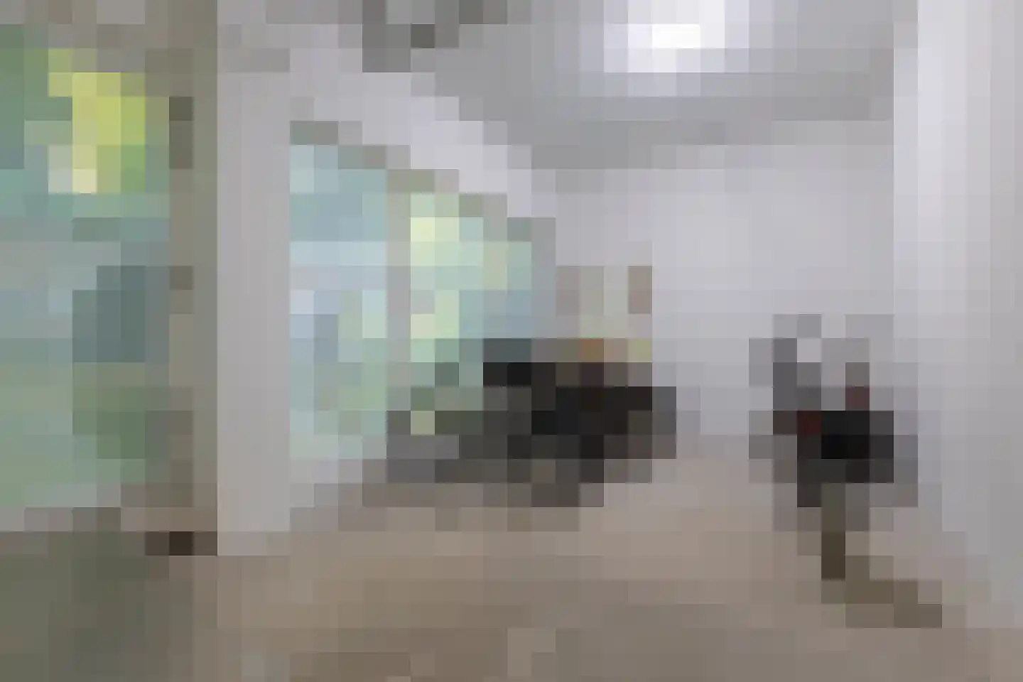 Dam 1 B 09 Goes thumbnail 34
