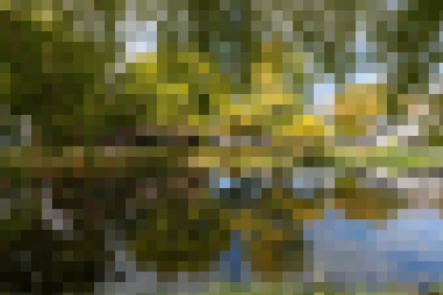 Dam 1 B 09 Goes thumbnail 38