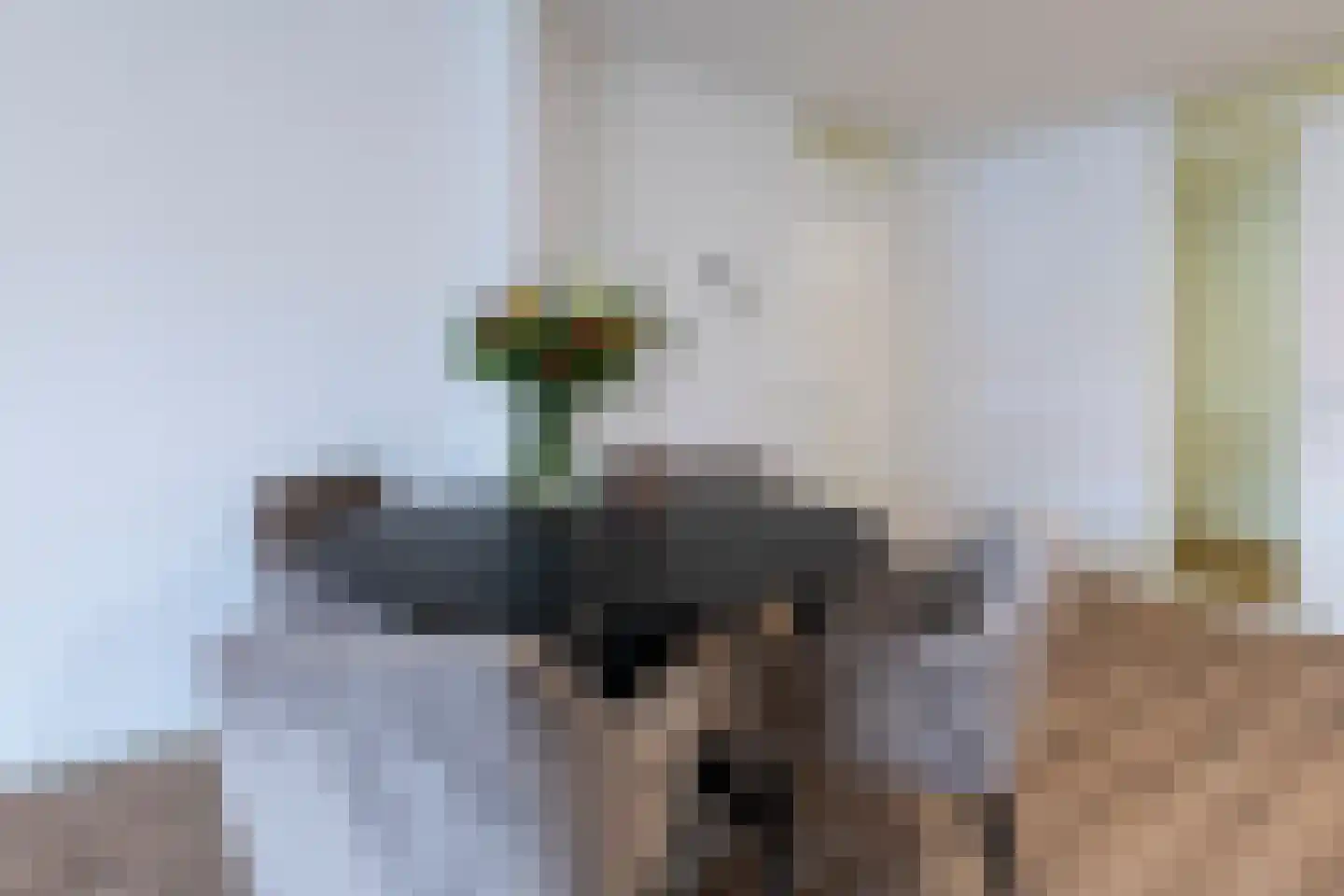 Dam 1 B 09 Goes thumbnail 7