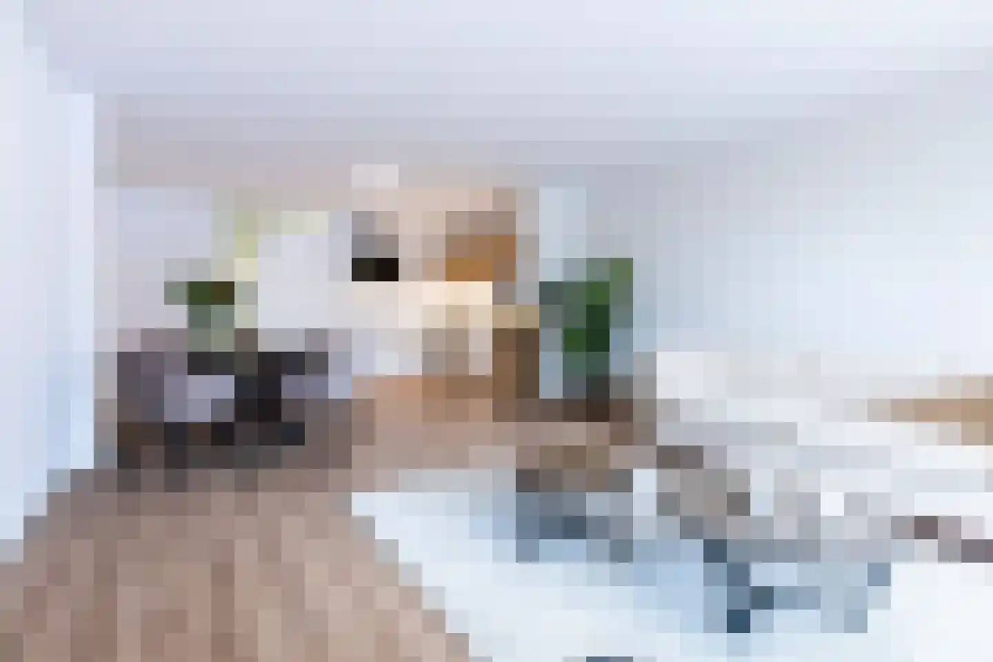 Dam 1 B 09 Goes thumbnail 9