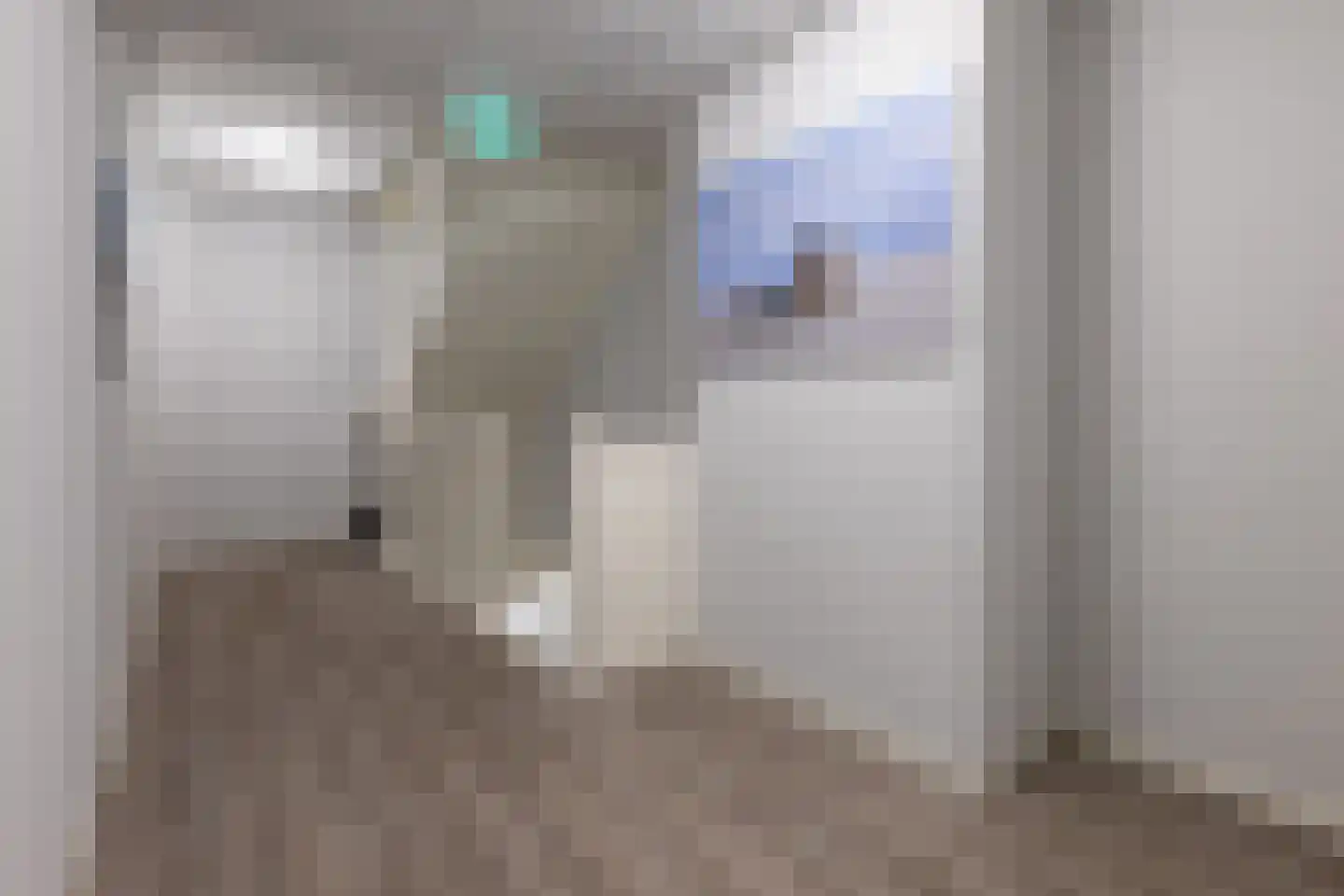 Dam 1 B 10 Goes thumbnail 23